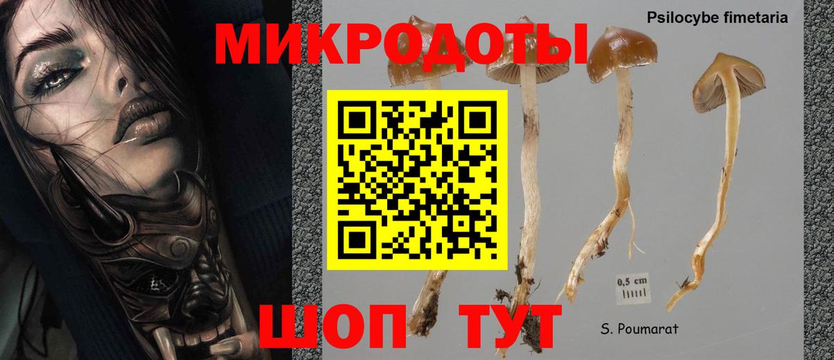 Костомукша  Псилоцибиновые грибы мицелий  Вход с VPN 