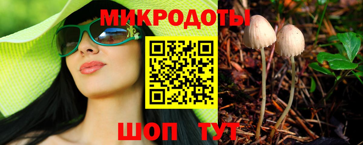 Псилоцибиновые грибы Psilocybine cubensis Костомукша